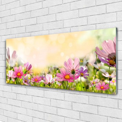 Glasbilder Wandbild Druck auf Glas 125x50 Blumen Natur