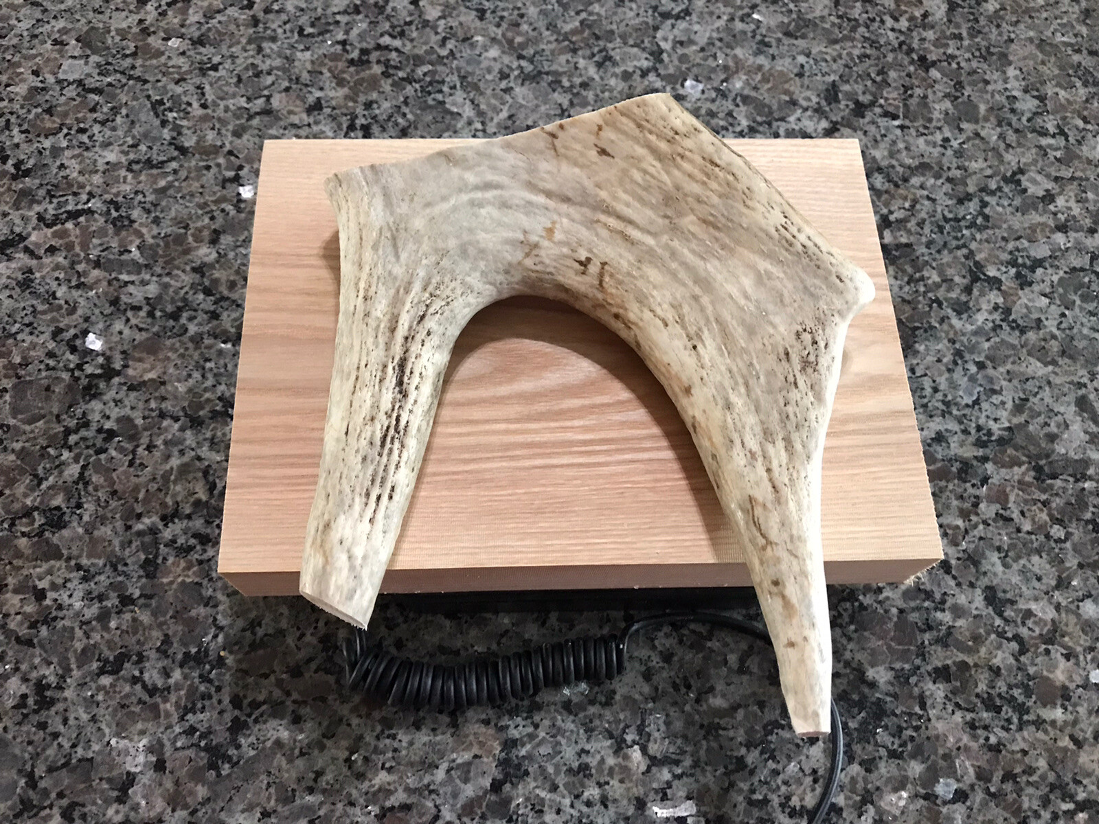 1 Pound of Northern Maine Moose Antler Dog Chews! Organic! Treats