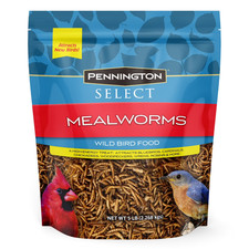 Pennington Select Mealworms, Bluebird and Wild Bird Food, 5 lb. Bag, 1 Pack, Dry