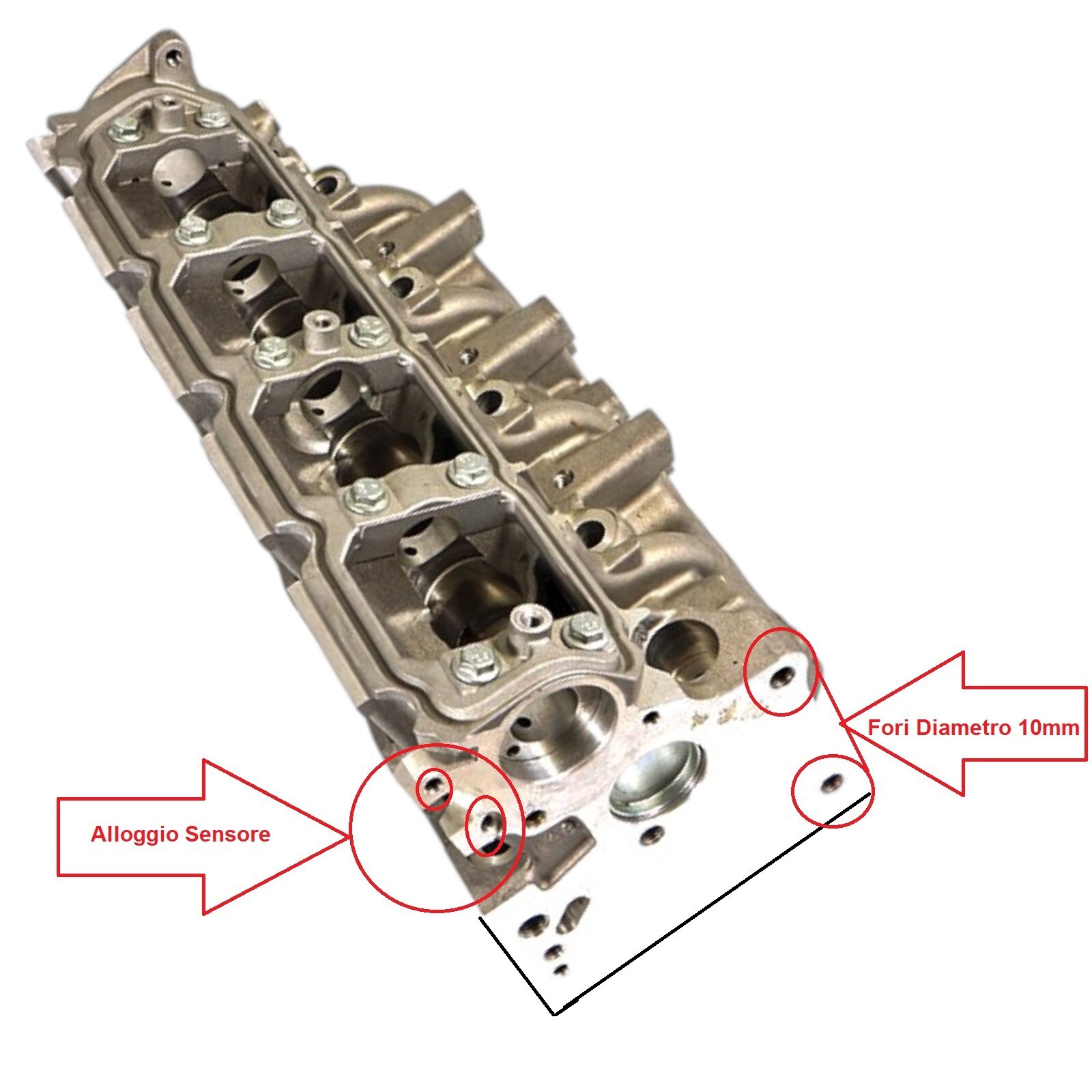 Testata Renault Volvo Mitsubishi Opel Nissan Suzuki F9Q 1.9cc DCi DiD Fori D_10