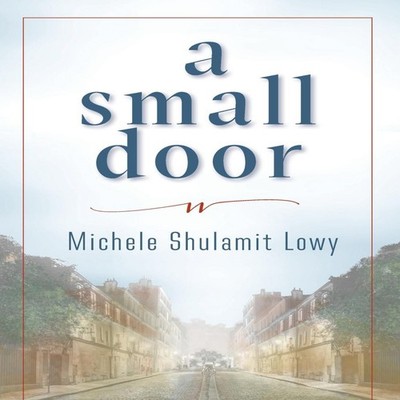 A Small Door Lowy Michele S Paperback Onion River Press