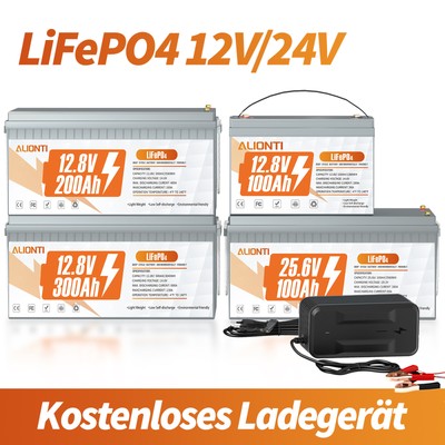 LiFePO4 Akku 12V 100Ah 200Ah 300A 24V100Ah Lithium Batterie BMS f/ Boot RV Solar