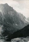 Bild 5 von 6