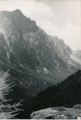 LES TATRAS c. 1950 - 3 Photos Tchécoslovaquie - NV 3653 - Picture 5 of 6
