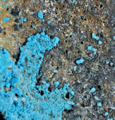 Descrespignyite (Y) Paratoo, nr Yunta South Australia Australia (EA10076)