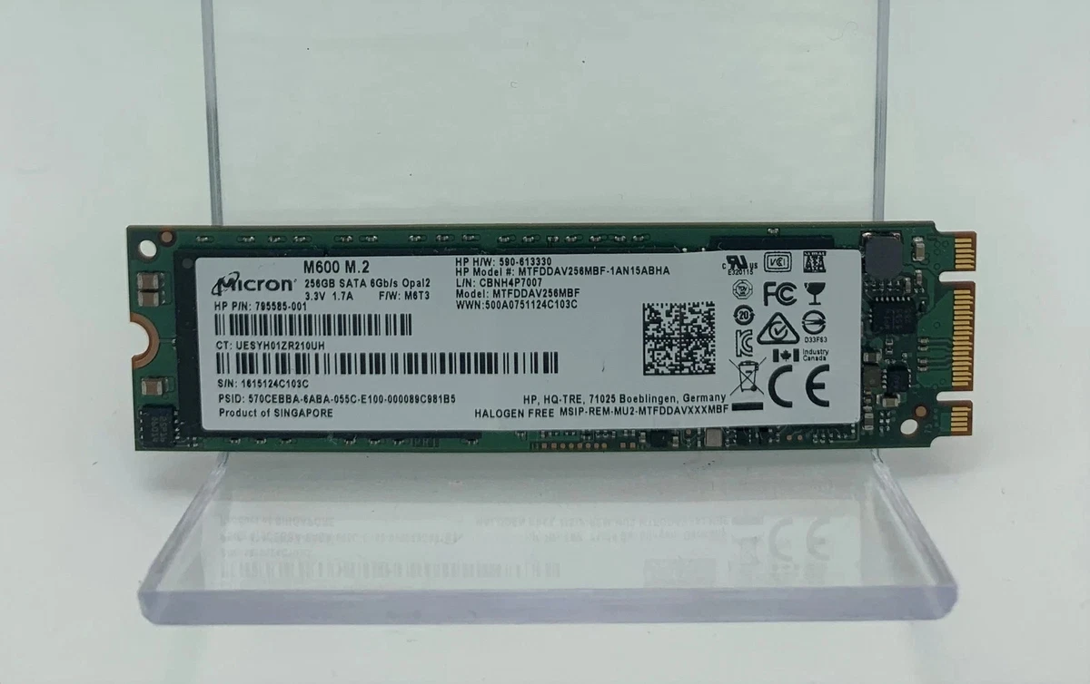 Micron 256 GB Solid State Drives for sale | eBay