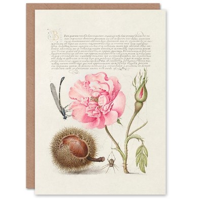 Modellbuch der Kalligraphie Kunstkarte Damselfly Rose Chestnut Spider