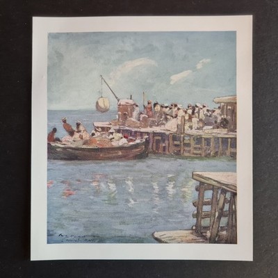 Antiker Druck 1905 - A Quay at St Ann's Bay - Jamaika - Westindien - Karibik
