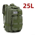Bild 12 von 40