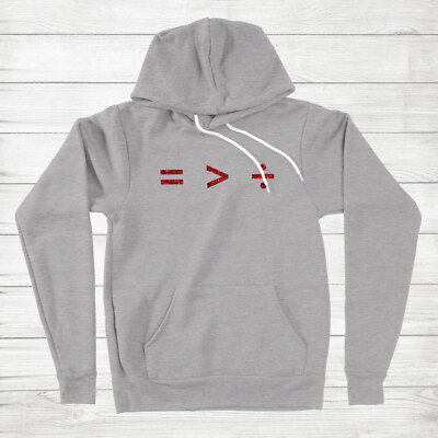 Equal is Greater than Divided Hoodie Sweater Glitter Equality Human Rights math
