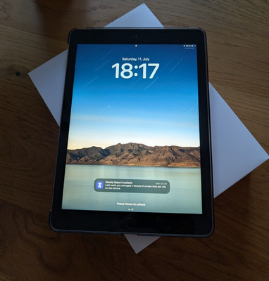 Apple iPad 6. Gen 9,7 Zoll 32 GB Grau Wi Fi A1893