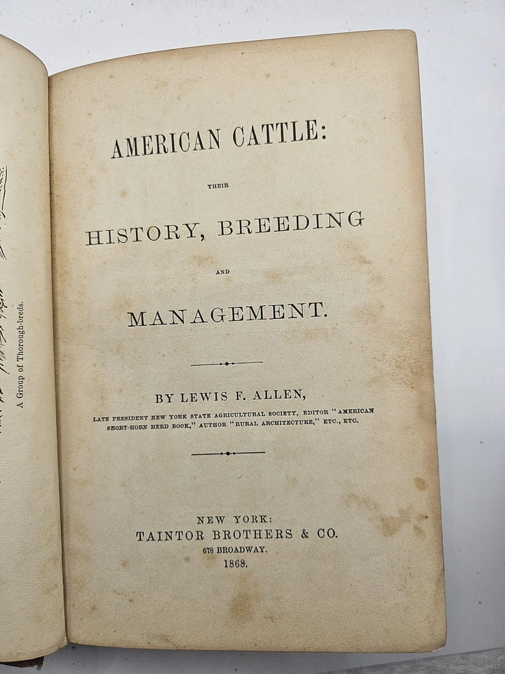 American Cattle their History, Breeding and Management [engravings 1868] Foto 2 de 3