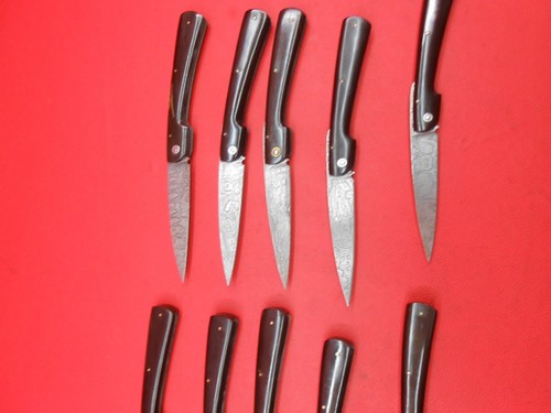 Cuchillo Carpeta de Fricción Damasco Hecho a Mano 10 Piezas Mango de Búfalos S586 - Imagen 4 de 11