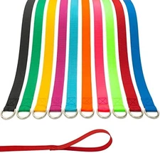 Slip Lead Dog Leash 10pcs 6ft Training Puppies