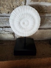 White Faux Coral Display Shelf Art - Beach Ocean Decor