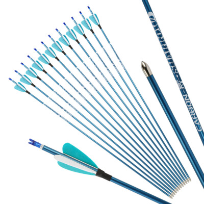 Bogenschießen Reiner Carbonpfeil SP400-1000 ID4,2 mm Recurve-Compoundbogen 