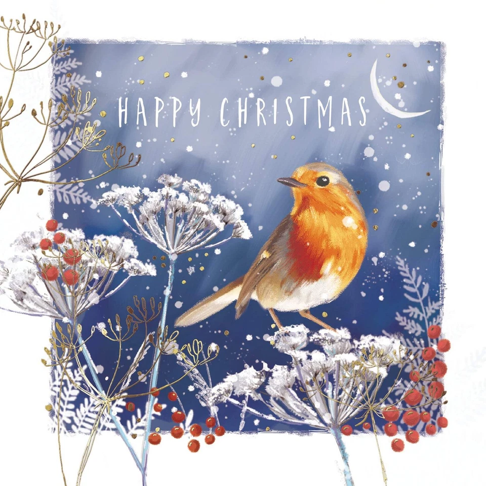 ST ANN'S HOSPICE ONLINE SHOP 'Robin in Moonlight' Pack of 10 Charity Christmas Greetings Cards