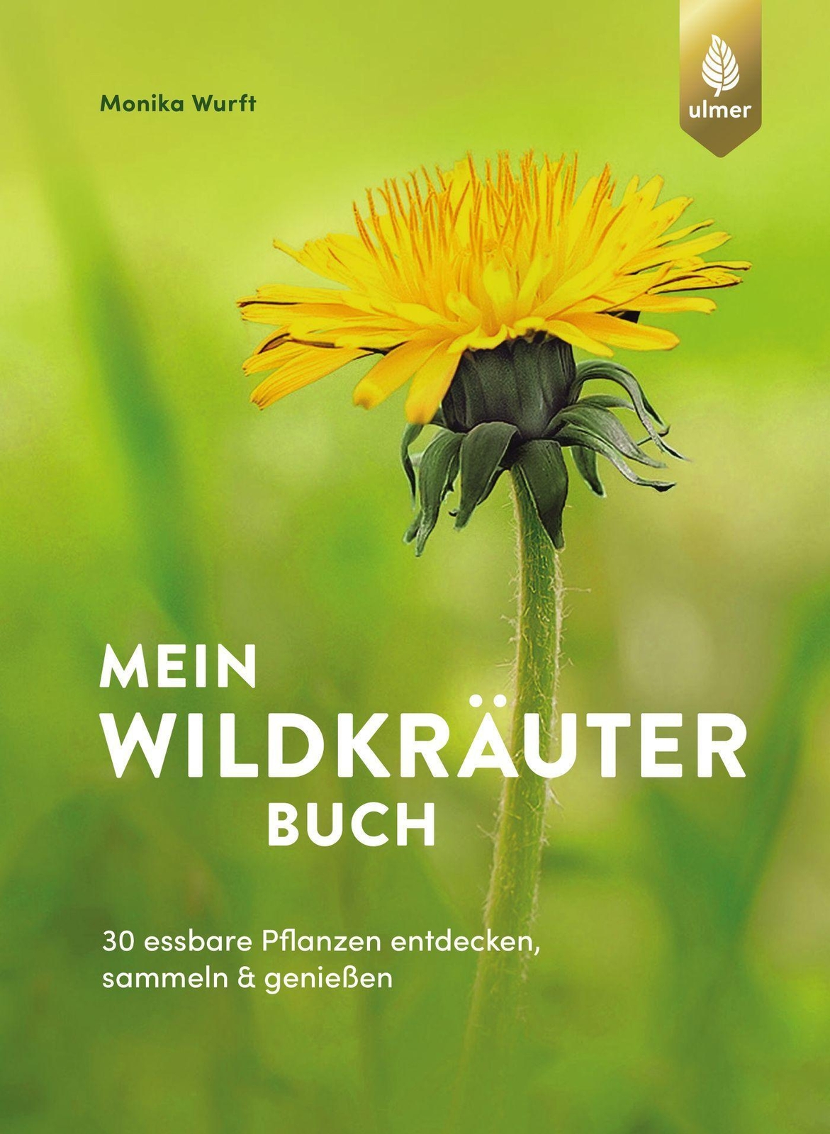 Thumbnail - Mein Wildkräuterbuch | 30 Essbare Pflanzen Entdecken, Sammeln Und