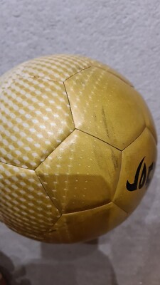 Authentic 2006 Nike 