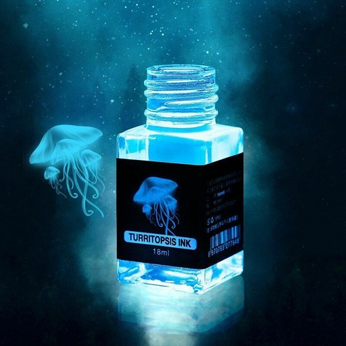 Turritopsis Nutricula Invisible Ink Bottle Fountain Pen Mysterious Lighthouse