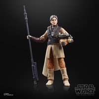 Hasbro Star Wars The Black Series Prinzessin Leia Organa Boushh