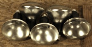 Five GE Reflector Photoflood Bulbs Type BEP