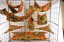 Sugar Glider Cage set, SK211 Rat  Sugar Glider Accessories, Flying Squirrel, 