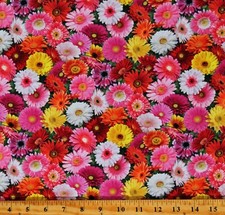 Cotton Gerber Daisy Daisies Flowers Multicolor Fabric Print by Yard D138.35