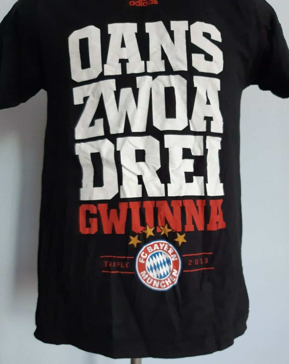 FC Bayern Munchen 2013 Fan T-Shirt Adidas Triple Winners