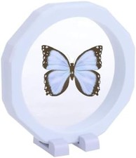 Transparent Jewelry Storage Box with PE Film 10pc White 12.8  12.8cm 5.03