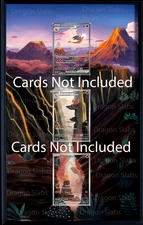 Pokemon 151 Charizard EX Charmeleon Charmander 8.5 x 14" Display Frame