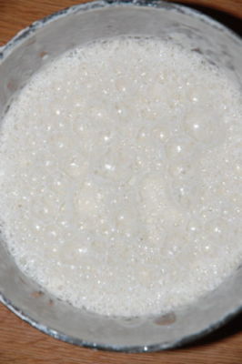 sourdough bread starter dry live yeast from san francisco wharf @fresh