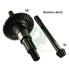 COPPIA CONICA PIGNONE CORONA ASSE MOTOCOLTIVATORE GOLDONI FRESA 25 DENTI 10 39