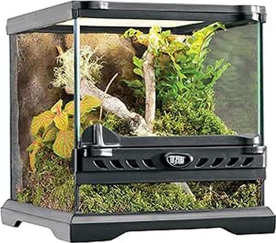 Exo Terra Terrarium Aus Glas, Mit Einzigartiger Front Belüftung, 20 X 20 X 20Cm