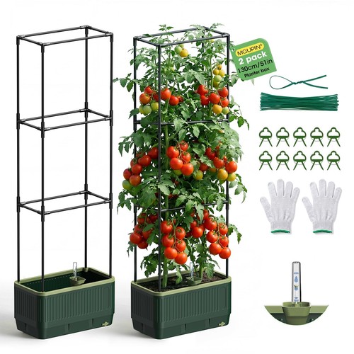 MQUPIN Raised Garden Bed Planter Box, Self Watering Tomato M, Green