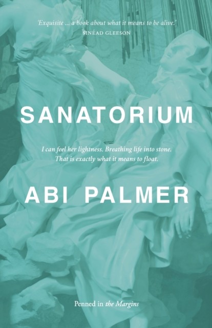 Sanatorium by Abi Palmer (Paperback Book)