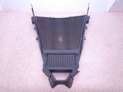 Kühler Schutz Gitter Verkleidung BMW M S 1000 R radiator protection grille 2024