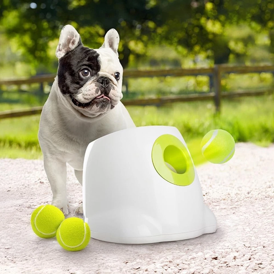 Interactive Automatic Dog Ball Launcher for Small & Medium Dogs - Fun Fetch Toy - Image 3 of 4