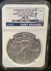 2016-W  Burnished Silver American Eagle Annual Dollar Set NGC MS 70