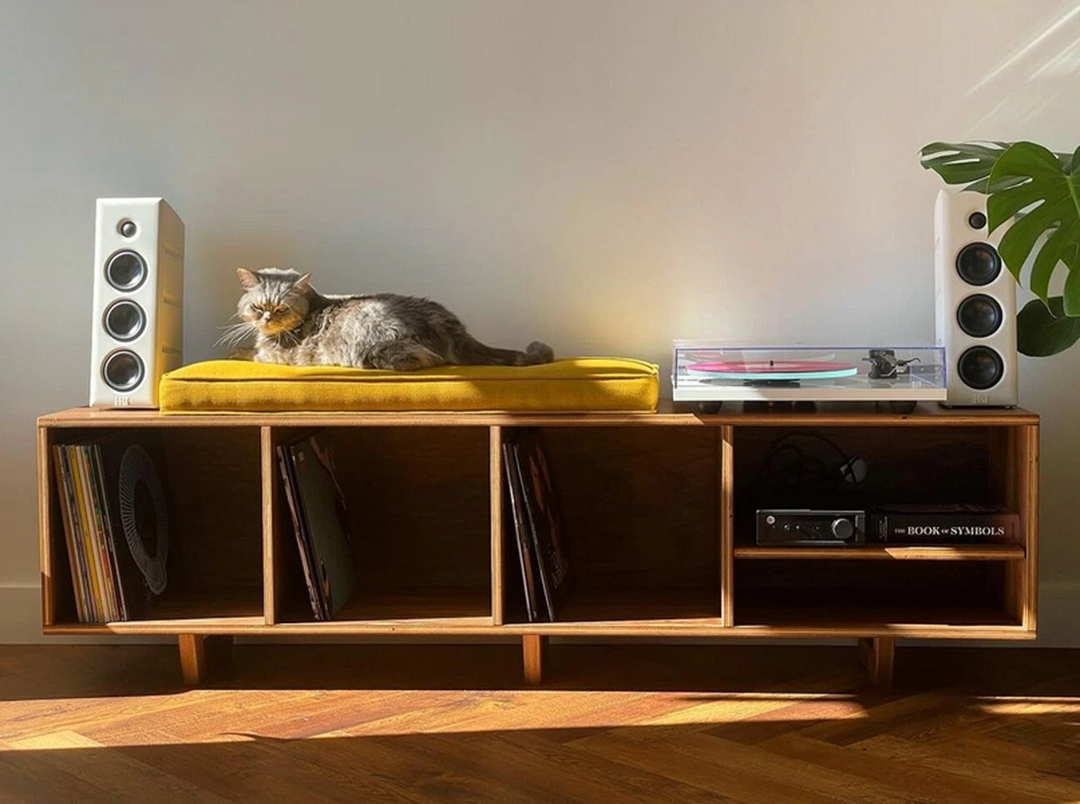 Credenza for 2024 vinyl records
