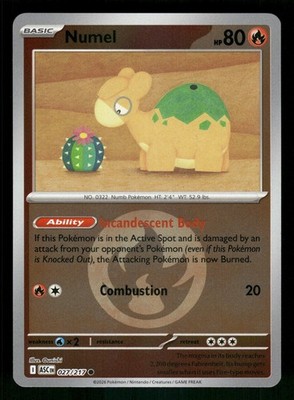 Numel - (Energy Symbol Pattern) Common Reverse Holo ME: Ascended Heroes 027 NM