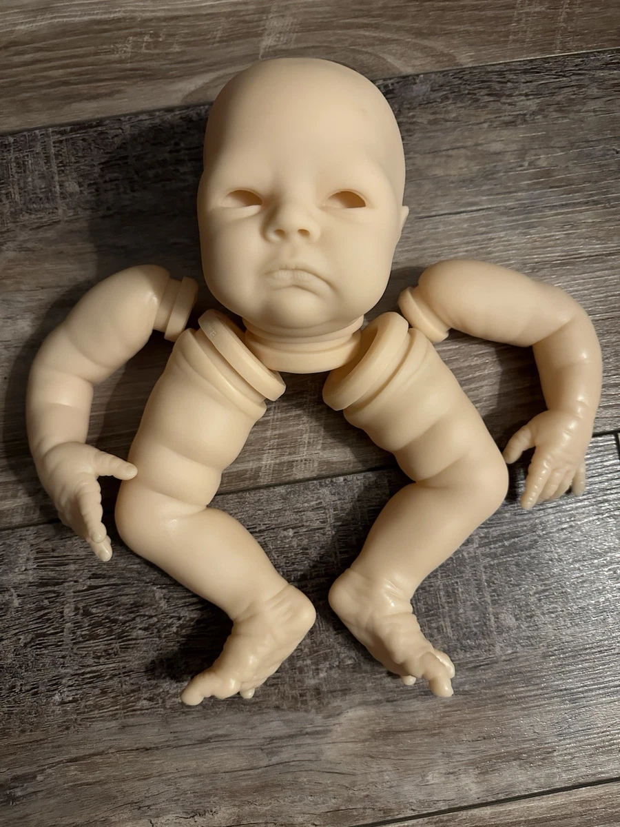 Reborn Baby Beginner Kit for sale | eBay
