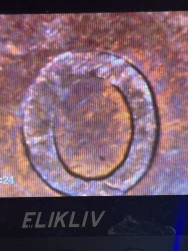 1957 D Wheat Cent Off Center , Cud Behind L On Rim, Weak Strike On Reverse - Picture 4 of 6