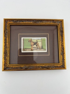 1937 Wills Dogs #37 Airedale Terrier Cigarette Card Framed England Vintage