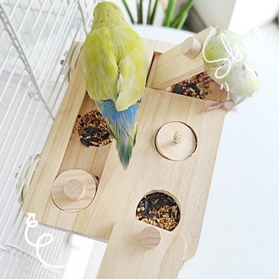 Bird Foraging Box Toy Snuffle Game Mental Toy Wooden Bird Foraging Puzzle Toy