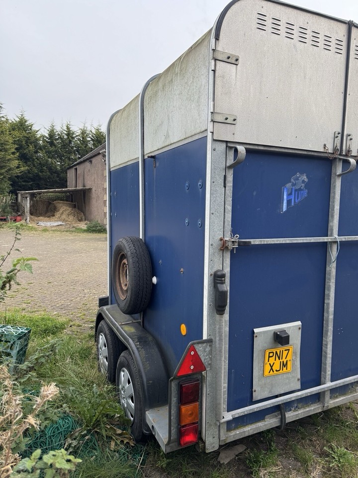 ifor williams horse trailer 505 eBay