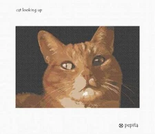 Cat Looking Up Needlepoint Kit or Canvas