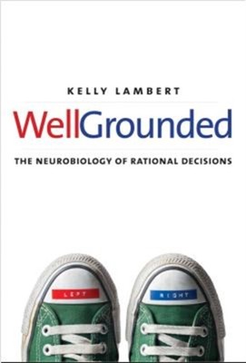 Well-Grounded : The Neurobiology of Rational Decisions Hardcover