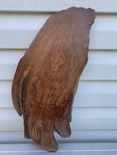Original Wood Burning Lion Art Larry Brown  Claire Schneider Washburn Illinois
