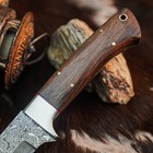 8.4" inch Damascus Steel Hunting Knife Full Tang Wood Handle Leather Sheath — photo 3
